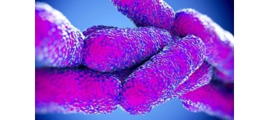 Co to jest Legionella i jak dochodzi do zakażenia?