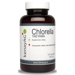Kenay Chlorella 120tabletek cena 42,45zł