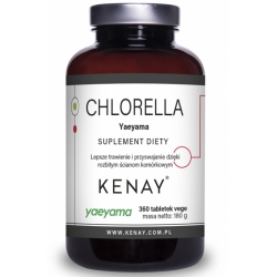 Kenay Chlorella Yaeyama japońska 360tabletek cena 109,90zł