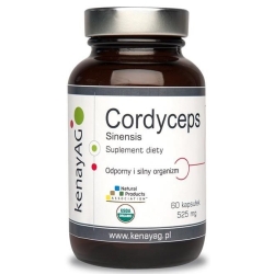 Kenay Cordyceps Sinensis Organiczny 525mg 60kapsułek cena 73,99zł