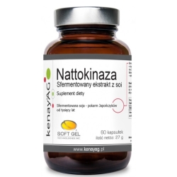 Kenay Nattokinaza 100mg NSK-SD™ 60kapsułek cena 89,00zł