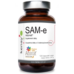 Kenay SAM-e (S-Adenosyl-L-Methionine ADONAT) 120 kapsułek cena 79,95zł