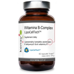 Kenay Witamina B Complex LipoCellTech 60kapsułek cena 86,90zł