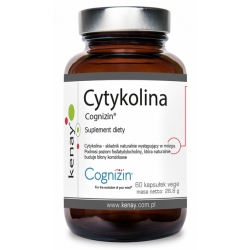 Kenay Cytykolina Cognizin 60kapsułek cena 78,90zł