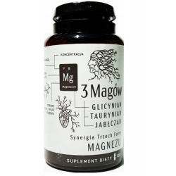 Nanga Trzech Magów magnez 100kapsułek cena 38,88zł