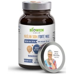 Biowen Maślan sodu Forte Max 580mg 100kapsułek cena 73,99zł