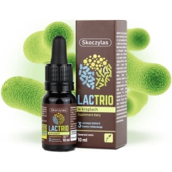 Skoczylas Lactrio w kroplach 10ml cena 29,00zł