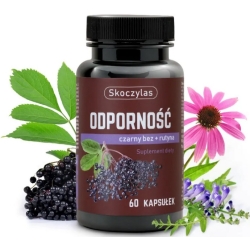 Skoczylas Odporność Czarny bez + Rutyna 60kapsułek cena 63,00zł