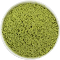 Herbata Zielona matcha BIO 25 kg Horeca cena 119,89zł