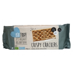 Krakersy delikatnie solone 250 g BIO Biotoday cena 13,79zł