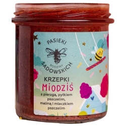 Krzepki MIODZIŚ 410g Pasieki Rodziny Sadowskich cena 49,50zł