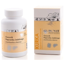 Biolit Kurka sproszkowany owocnik pieprznika jadalnego 90kapsułek PROMOCJA ( próbki gratis ) cena 129,00zł