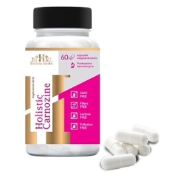 Holistic Herbs Carnozine L-karnozyna 60kapsułek cena 99,90zł