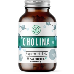 Raw Forest Cholina 90kapsułek cena 49,00zł