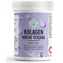 Raw Forest Kolagen mocne ścięgna chrząstki proszek 76g cena 59,00zł
