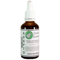 Nalewka Adapto 1:5 50ml Zielarnia Suwalska cena 59,99zł