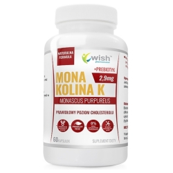 Monakolina 2,9mg (ekstrakt fermentowanego czerwonego ryżu) 60kapsułek Wish Pharmaceutical cena 35,90zł