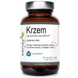 Kenay Krzem Liposomalny LipoCellTech 60kapsułek vege cena 62,90zł