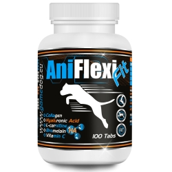 AniFlexi Fit V2 100tabletek Game Dog Performance Nutrition cena 98,00zł