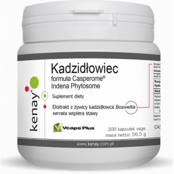 Kenay Kadzidłowiec formula Casperome® Indena Phytosome 300kapsułek cena 304,90zł