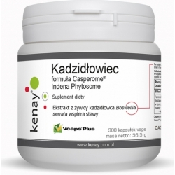 Kenay Kadzidłowiec formula Casperome® Indena Phytosome 300kapsułek + próbki gratis  cena 303,90zł