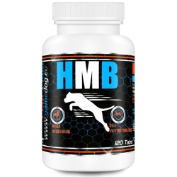 HMB 120tabletek Game Dog Performance Nutrition cena 59,00zł