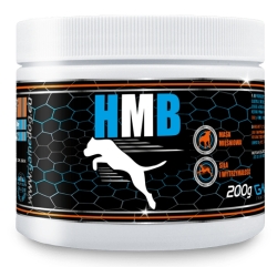 HMB proszek 200g Game Dog Performance Nutrition cena 89,00zł