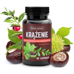 Skoczylas Krążenie Ruszczyk + Diosmina + Kasztanowiec 60kapsułek cena 53,00zł