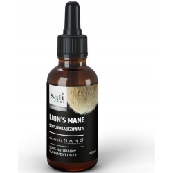 Nano Lion’s mane (Soplówka jeżowata) ekstrakt 7:1 adaptogen 50ml SatiLabs cena 79,00zł