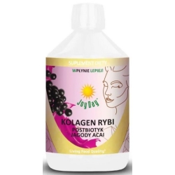 Joy Day Kolagen rybi 500 ml cena 79,90zł