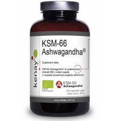 Kenay Ashwagandha BIO KSM-66 200mg Ekstrakt 300kapsułek cena 142,00zł