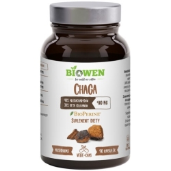 Biowen Chaga (Błyskoporek podkorowy) 400mg 90kapsułek cena 75,99zł