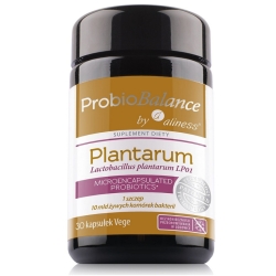 Aliness ProbioBALANCE Lactobacillus plantarum LP01 10 mld. 30vege kapsułek cena 39,90zł