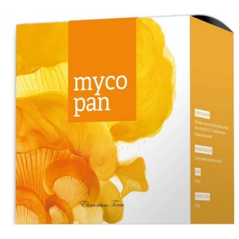 Energy Mycopan 90kapsułek cena 139,00zł