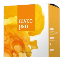 Energy Mycopan 90kapsułek cena 139,00zł