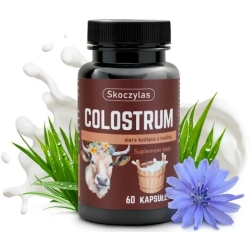 Skoczylas Colostrum siara bydlęca z inuliną 60kapsułek cena 65,00zł