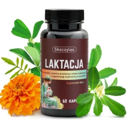 Skoczylas Laktacja dla kobiet karmiących 60kapsułek cena 59,00zł