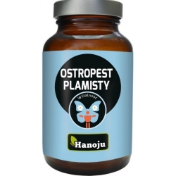 Hanoju Ostropest Plamisty ekstrakt 60kapsułek cena 71,90zł