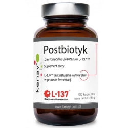 Kenay Postbiotyk Lactobacillus plantarum L-137 60kapsułek cena 45,90zł