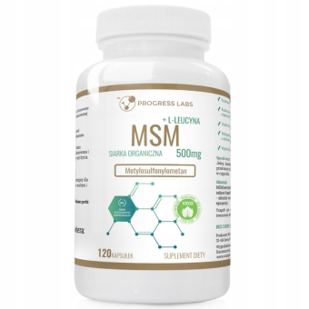 Progress Labs L MSM + L-Leucyna 500mg 120kapsułek cena 38,90zł