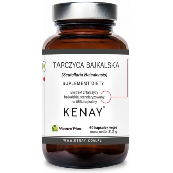 Kenay Tarczyca bajkalska 60kapsułek cena 49,90zł