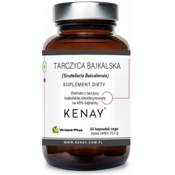 Kenay Tarczyca bajkalska 60kapsułek cena 49,90zł