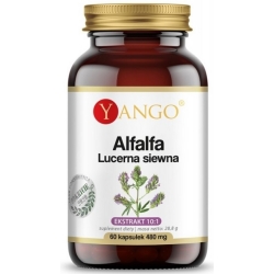 Yango Alfalfa Lucerna Siewna 60kapsułek cena 33,90zł