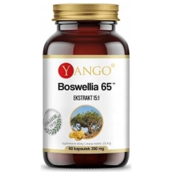Yango Boswellia 65™ 60kapsułek cena 39,50zł
