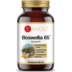 Yango Boswellia 65™ 90kapsułek cena 47,80zł