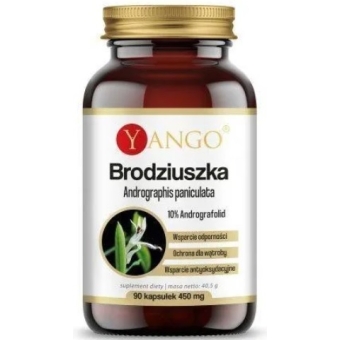 Yango Brodziuszka Andrographis paniculata 90kapsułek cena 47,50zł