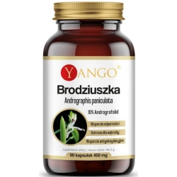 Yango Brodziuszka Andrographis Paniculata 90kapsułek cena 50,90zł