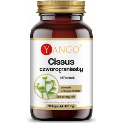 Yango Cissus Czworograniasty 90kapsułek cena 31,90zł