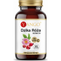 Yango Dzika Róża Ekstrakt 90kapsułek cena 50,90zł