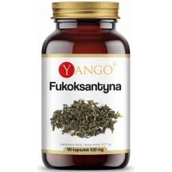 Yango Fukoksantyna 90kapsułek cena 53,20zł